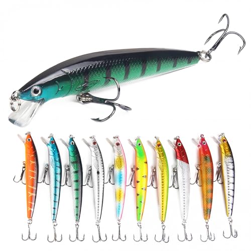 Fishing Lures Kit Set 10 Pack Fishing Lures Hard Baits, 3D Artificial Minnow Crankbait & Swimbait Lure Kit for Freshwater & Saltwater, Bass, Trout, Walleye, Redfish
