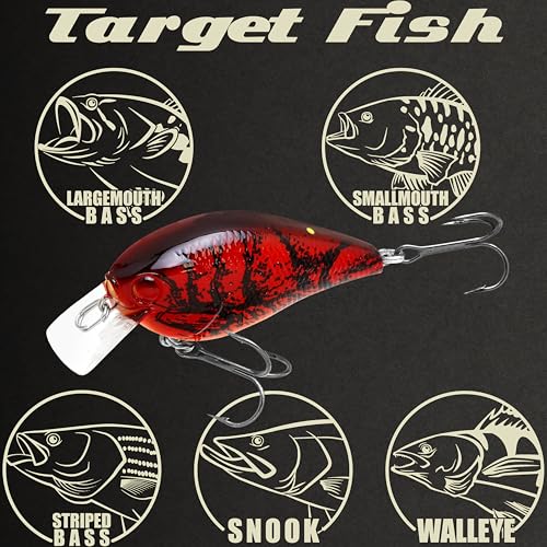 LUCKY CRAFT LC 1.5 Silent Squarebill Crankbait Fishing Lure, 2-3/8", Bass Fishing Lures for Freshwater, Hard Crankbait with Treble Fishing Hooks, Fishing Accessories - color: 137 Craw