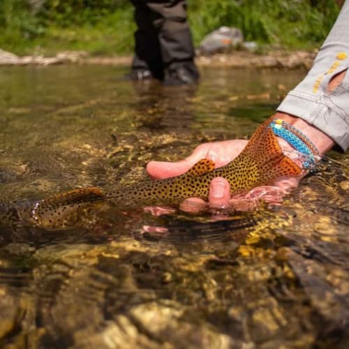 RIO Products Mainstream Trout Fly Line, Full Sinking Fly Line, Easy Casting - color: Black, size: 5 Weight