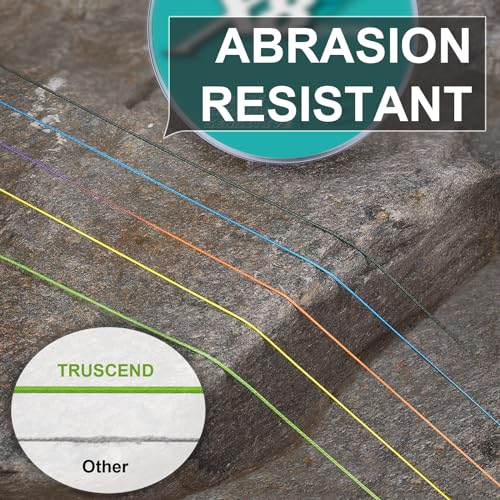 TRUSCEND X8 Braided Fishing Line, Durable and Valuable PE Braid Line for Professional, More Thinner More Smoother Performance for Casting Well, Must-Have Freshwater Fishing Gear, Fishing Gift for Men - color: Blue, size: 30 LB (300 yards)