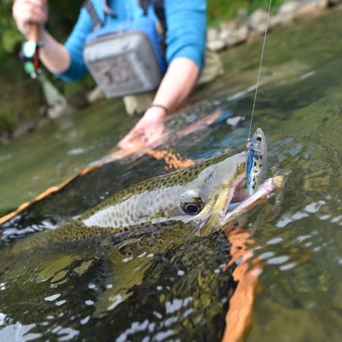 Pristis Jig Head Fishing Lures for Freshwater Saltwater, Weedless Swim Jig Teasers with Sharp Hooks & Exquisite Coating, Pre-Rigged Vibrating Swimbaits Kit Gear for Bass Crappie Walleye Trout Pike - color: 6 pcs Paddle Tail Soft Lures