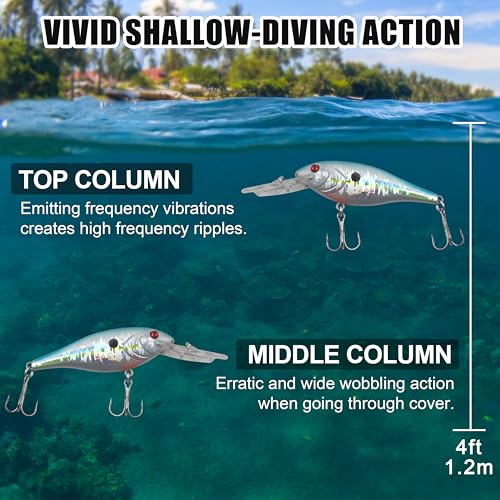 Hard Fishing Lures Bait Minnow Lures Bass CrankBait Jerkbait Set Life-Like Swimbait Deep Diving Sinking Lures with Treble Hook for Bass Trout Walleye Redfish - style: Type C-10pcs