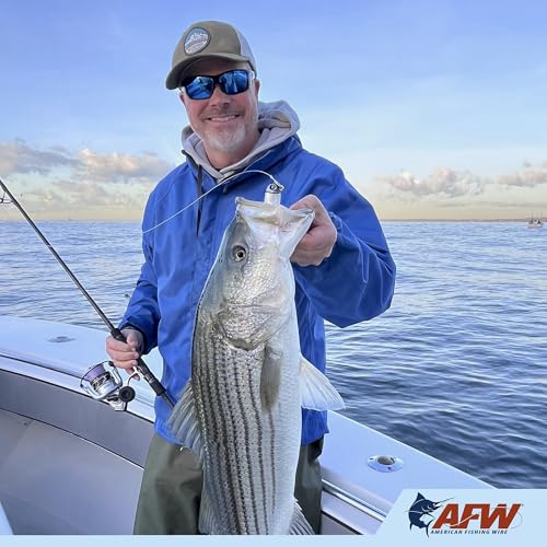 AFW Brass Coastlock Snap Swivels – Durable Fishing Gear with High-Strength Wire Snaps, Black Oxide Finish, Prevents Line Twisting & Kinking, Supports Up to 350 lb Test. - size: 24 pc, #10, 30 lb test