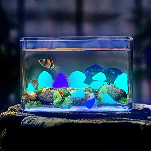 GLOCARNIVAL Glow Pebbles, 300 pcs Blue Glowing Rocks for Outdoor Decor, Garden Lawn Yard, Aquarium, Walkway, Fish Tank, Pathway, Luminous Pebbles Powered by Light or Solar - color: Blue