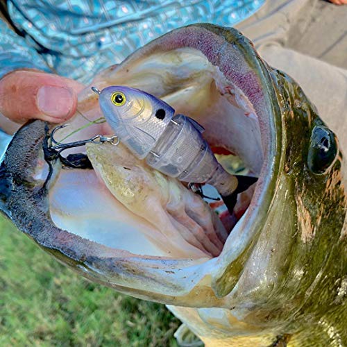 Catch Co Mike Bucca Baby Bull Shad Swimbait 3.75" 1/2 oz - color: Gizzard Shad