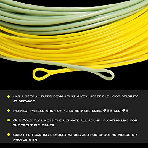 Gold Fly Line 90FT Weight Forward Floating 2 3 4 5 6 7 8 9WT Fly Fishing Line - color: MOSS GREEN + FLUO YELLOW, size: WF3F -90FT