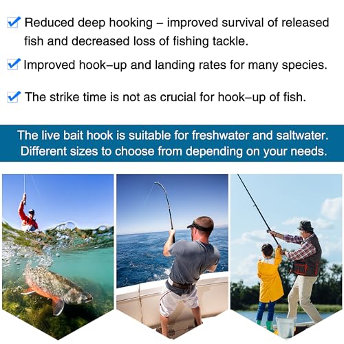 Live Bait Hooks Saltwater O'shaughnessy Circle Hook Stainless Steel Short Shank in-Line Point Fishing J Hooks for Catfish Tuna Bass Salmon Size 1#-5/0 - size: Mixed(1/0-5/0) Kit-60pcs