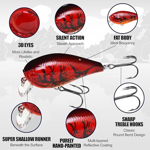 LUCKY CRAFT LC 1.5SSR, Wobbling Freshwater Lake Bass Fishing Bait - color: 419 BP Golden Shiner
