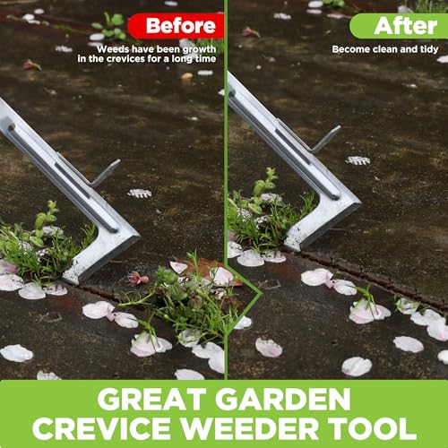 WORKPRO Crack Weeder, 12" Stainless Steel Crevice Weeding Tool Weeder Tool | Beech Wood Handle, L-Shaped Side-Walk Weed Puller Spatula, for Garden Lawn Yard Patio Terrace Paving Moss
