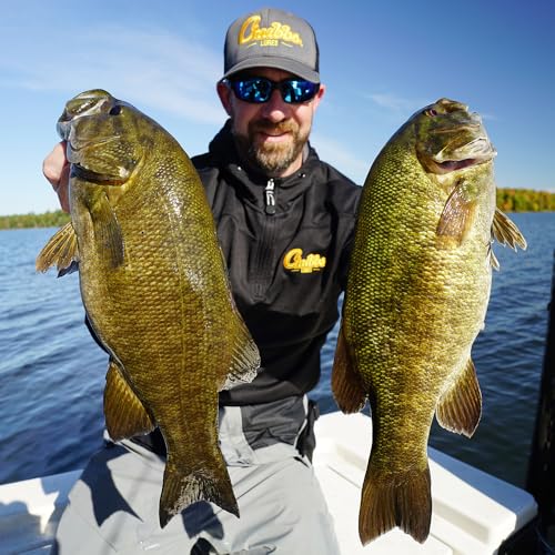 Chubbs Lures Pro Bass Multi-Depth 5 Crankbait Assortment | Bass Fishing Lures