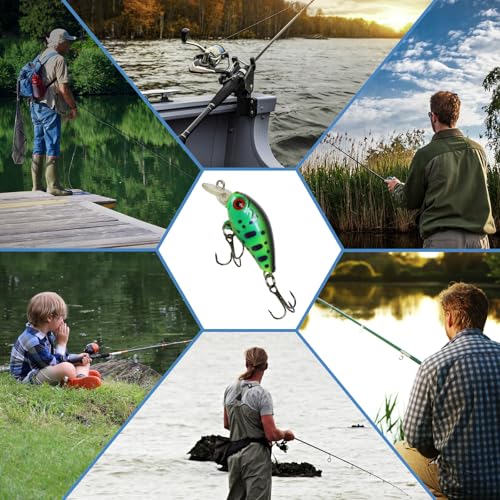 Top Water Fishing Lures Kit, 6 PCS Micro Fishing Lure Crankbaits Baits with 2 Hooks 3D Eyes Bait for Saltwater Freshwater Bass Trout Catfish Pike Perch - color: B