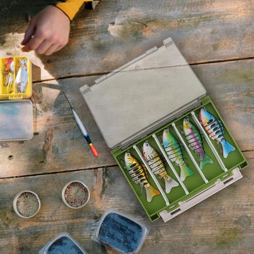 Double Sided Fishing Lure Box Organizer, Fishing Tackle Box Storage Hard Plastic Container Case for Lure Bait Hooks Beads Jewelry Earring - color: Green