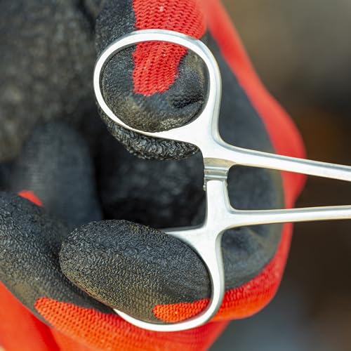 Smith’s 51393 6.5” Fly Fishing Forceps | Stainless Steel Material | Large Finger Loops | Three Locking Positions | Serrated Jaws | Fly Fishing Forceps | Hook Remover