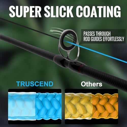 TRUSCEND X8 Braided Fishing Line, Durable and Valuable PE Braid Line for Professional, More Thinner More Smoother Performance for Casting Well, Must-Have Freshwater Fishing Gear, Fishing Gift for Men - color: Multicolor A, size: 10 LB (300 yards)