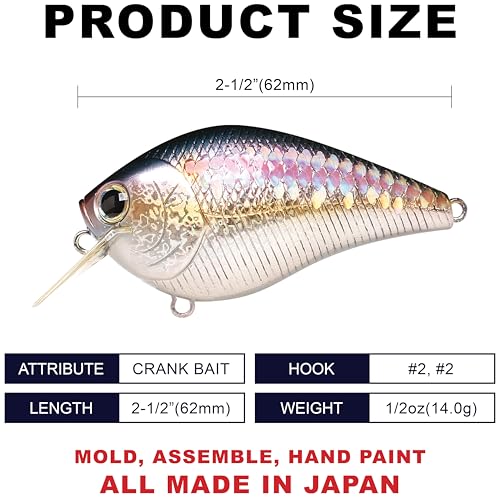 LUCKY CRAFT Fat CB BDS2 Fishing Lure, 2.5" Floating Squarebill Crankbait, 2–3 ft Depth, Freshwater Trout and Bass Lures, Bass Fishing Gear and Tournament Hard Bait - color: 270 MS American Shad