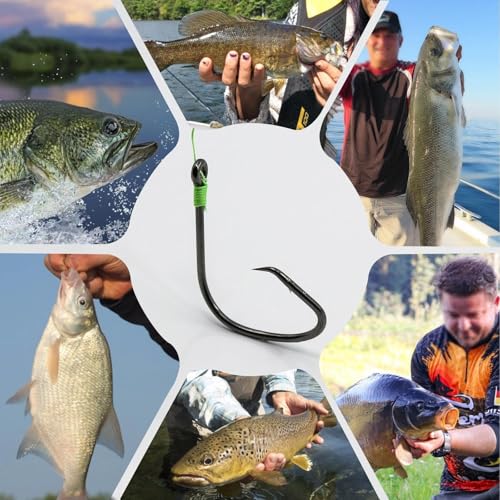 Fishing Circle Hooks Offset Fish Hook Saltwater,Barbed Live Bait Hooks Black Nickel/Wide Gap for Catfish Striped Bass - color: 100pcs, size: 1#