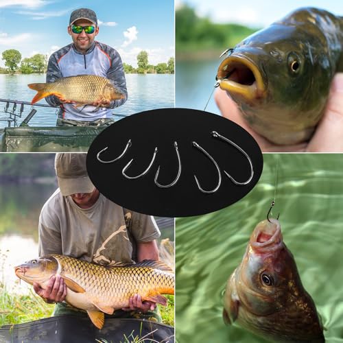 Barbless Fishing Hooks 200pcs High Carbon Steel Circle Curve Shank Trout Carp Fishing No Barb Small Fly Tying Hooks - size: 10#-200pcs