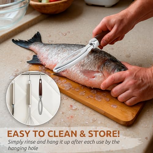 DUGATO Fish Scale Remover, Stainless Steel Scaler with Wood Handle | Serrated Descaler Scraper for Quick Fish Cleaning, Rustproof Blade, Seafood Prep for Kitchen & Outdoor