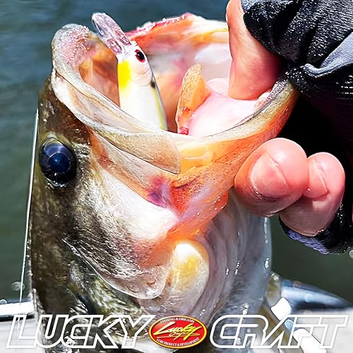 LUCKY CRAFT Pointer 78SP Fishing Lures, 3" Freshwater Bass & Trout Lures, Suspending 4ft-5ft Depth, Jerkbait, Bass Fishing Gear and Accessories, Ghost & Aurora - color: 283 Silver Cheek Ghost Minnow