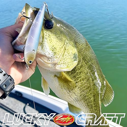 LUCKY CRAFT Sammy 105 Topwater Fishing Lures, 3 Hook, 4-1/8" Floating Freshwater Trout and Bass Lures, Walk-the-Dog Tournament Bait, Bass Fishing Gear and Tackle Box Accessories - color: 052 Aurora Black