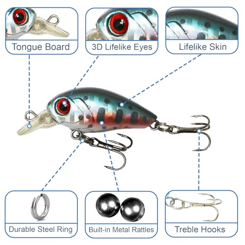 Top Water Fishing Lures Kit, 6 PCS Micro Fishing Lure Crankbaits Baits with 2 Hooks 3D Eyes Bait for Saltwater Freshwater Bass Trout Catfish Pike Perch - color: B