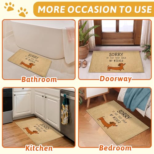 Funny Dog Doormat Outdoor Welcome Entrance Door Mat Front Back Door Entryway Floor Mat Inside Outside Non-Slip Welcome Carpet Rug Indoor Washable Doormat for Patio Hallway Home Decor - color: Brown Dog
