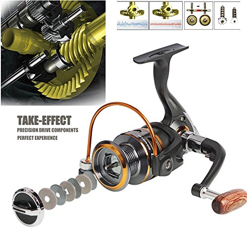Sougayilang Spinning Fishing Reels with Left/Right Interchangeable Collapsible Wood Handle Powerful Metal Body 5.2:1/5.1:1 Gear Ratio Smooth 11BB for Inshore Boat Rock Freshwater Saltwater Fishing - size: DK4000