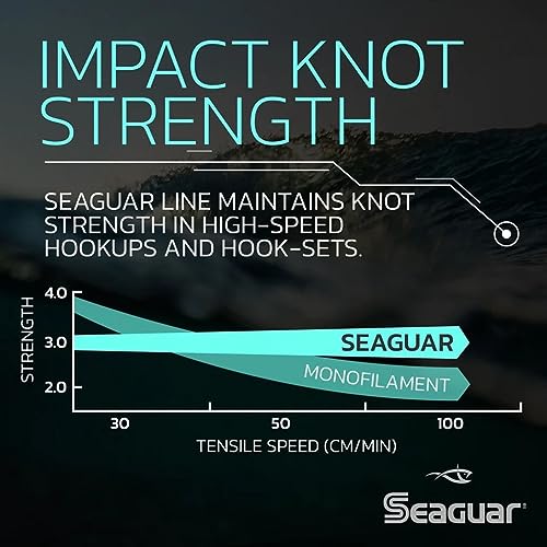 Seaguar Blue Label Fishing Leader Line for Saltwater, 100% Fluorocarbon, Clear, Multiple Sizes - size: 2lbs/25yds
