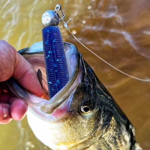 30 Pcs Finesse Ned Worms Soft Plastic Fishing Lures for Bass Fishing 5 Colors Mixed 2.6in/0.15oz