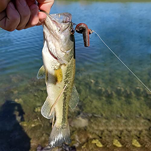Soft Plastic Worm Fishing Lures Kit, Finesse TRD Stick Worms and Ned Rig Baits with Jig Heads for Bass Fishing, Freshwater Bass Soft Baits - color: Mix Color B - 30pcs Worms+10 Jig Heads, size: 2.75"