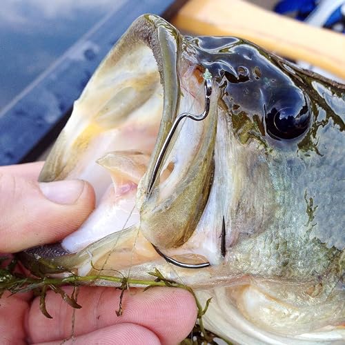 Bass Fishing Hooks 3X Strong Offset EWG Worm Hooks Jigs for Soft Plastic Bait Bass Trout Texas Rig 1-5/0 - size: 150PCS-1/0