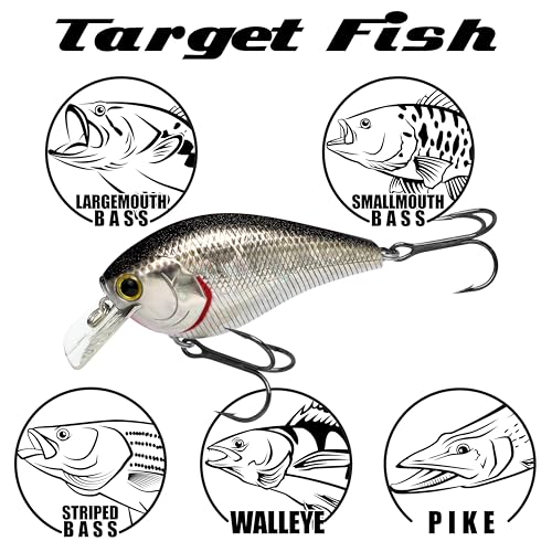 LUCKY CRAFT LC 2.5 Silent Crankbait Fishing Lures, 2-3/8” Squarebill Crankbait, Bass Lures, Floating 4ft Depth Hard Bait, Champion Freshwater Fishing Gear and Tackle Box Accessories - color: 424 MS Impulse Shad