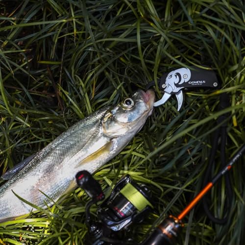 GOMEXUS Fish Lip Gripper, Portable Lightweight Fish Gripper, Aluminium Fish Grabber Tool, Lip Grippers Fishing, Mini Fishing Gripper with Lanyard - color: Sliver
