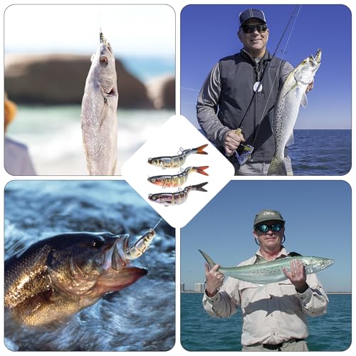 Fishing Lures for Bass Trout Topwater Multi Jointed Swimbaits Slow Sinking Bionic Swimming Lures Bass Freshwater Saltwater Bass Lifelike Fishing Lures Kit - color: Combo Q
