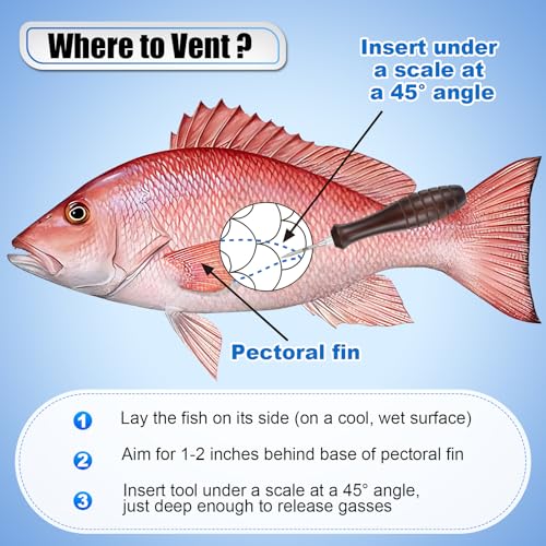 Feekoon Fish Venting Tool, Venting Kit for Deep Sea Fishes with Stainless Steel Needle, Fishing Tackle for Saltwater Fishing Fish Release and Return (Patented) - color: Dark Brown Handle