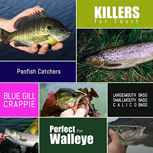 Crappie Lures Tube Lures Jigs Heads Worms Swimbaits Kit, 165, 124, 50 Pcs Pre-Rigged Crappie Jigs Tube Hooks Soft Plastic Grub Worms Baits for Bass Trout Freshwater Saltwater Fishing - color: 25 Pcs - Pre-Rigged Tube lures