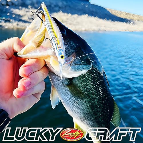 LUCKY CRAFT Lightning Pointer 100DD MG-S Fishing Lures, 4” Suspending Jerkbait Bass Lure, 15ft Depth Hard Bait, Freshwater Trout Lures, Premium Fishing Gear and Freshwater Tackle Box Equipment - color: 374 FFS All Chrome