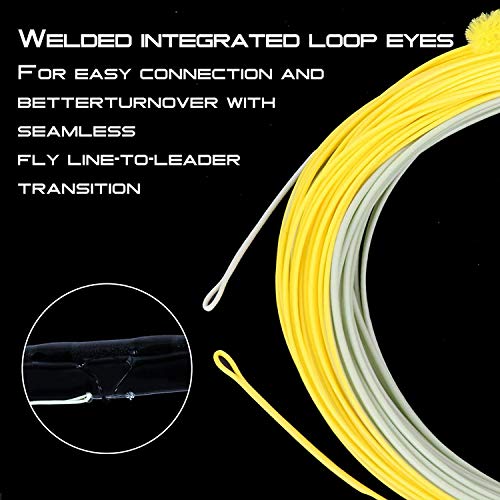 Maxcatch All-Purpose Trout Fly Line with Two Welded Loops, Weight Forward Floating Fly Fishing Lines Moss/Gold - size: WF9F-100FT