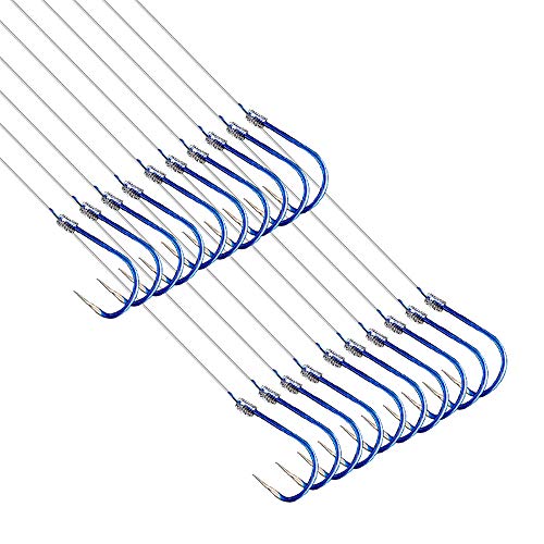 AMHDV Small Fishing Hooks with Line, Super Quick Penetration Fishing Hook Tie Nylon Line (Pack of 20) - style: 10#