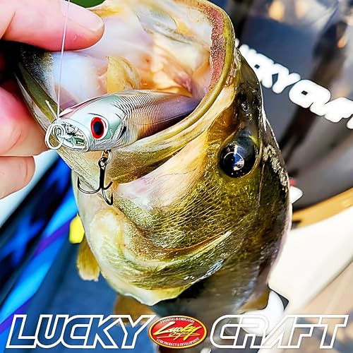 LUCKY CRAFT Gunfish 95NF Top Water Bass Fishing Lures, 4” Floating Lure with Cupped Mouth, Freshwater Trout and Bass Lures Fishing Gear, Accessories for Tackle Box - color: 270 MS American Shad