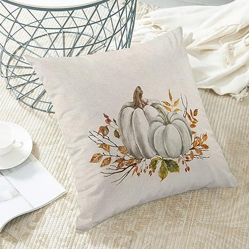 Autumn Fall Pillow Covers 18 X 18 Inch Set of 2, White and Grey Pumpkins Orange Flowers Throw Pillow Covers Farmhouse Thanksgiving Harvest Decorative Autumn Pillows for Couch Home Sofa Outdoor - color: Pumpkin3, size: 18" x 18" (Pack of 1)