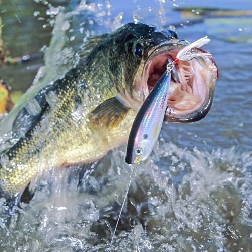 300Pcs Fishing Swivels in 5 Sizes, Fishing Speed Clips for Fishing Lures with A Storage Box, Micro Swivels for Fly Fishing, High Strenth Stainless Steel for Saltwater Fishing