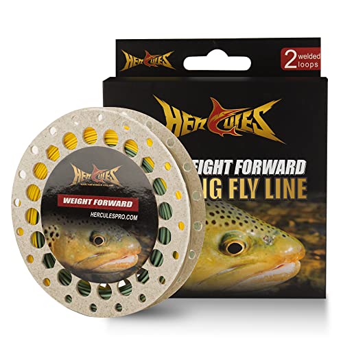 HERCULES Fly Fishing Line Floating Weight Forward Fly Line with Double Welded Loop - color: Gold & Moss Green, size: WF5F 100FT