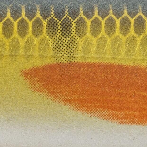 Strike King KVD Elite 300 Deep Jerkbait - color: M462 - Matte Sugar Daddy