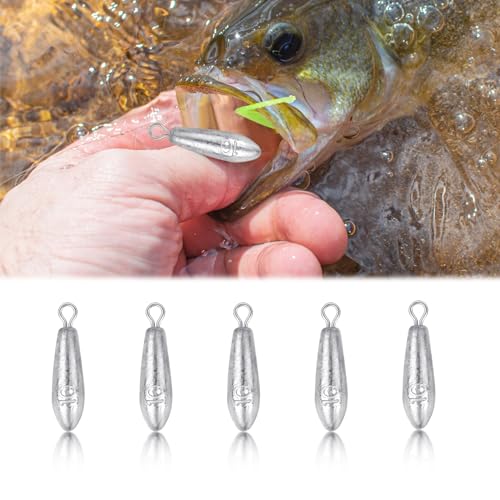 10 Pack Drop Shot Fishing Weights Kit, Drop Shot Weights, Fishing Bottom Sinkers Lead Weight for Bass Fishing Lures or Other Fish - style: 10 G / 0.35 Oz