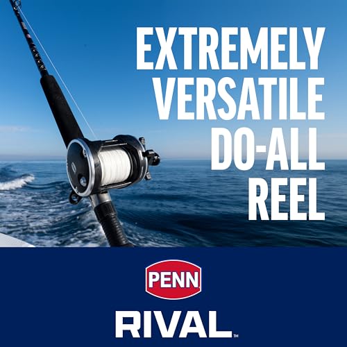 PENN Rival Level Wind Conventional Fishing Reel - size: 15 - Line Counter, style: Old Model
