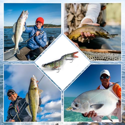 Goture Bass Fishing Lures, Lifelike Jointed Swimbait for Bass Trout Walleye Crappie Pike, Slow Sinking Segment Swimming Bait Fishing Lures for Freshwater and Saltwater, Gifts for Men - color: E1:6pcs Bass Lures with 20pcs Snaps