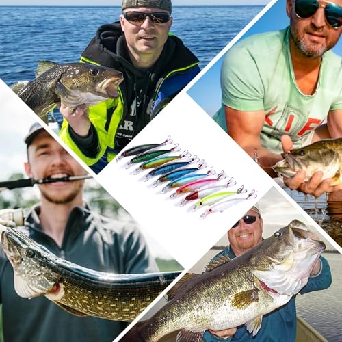 Jerkbait Fishing Lures, Top Water Bass Fishing Lures - 10pcs with Box
