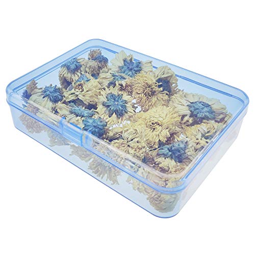 LJY 12 Pieces Rectangular Empty Mini Clear Plastic Organizer Storage Box Containers with Hinged Lids (4.5 x 3.3 x 1.1 inch, Blue) - color: Blue, size: 4.5 x 3.3 x 1.1 inch