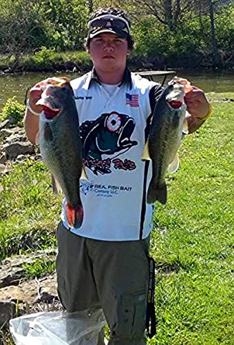 Long Shank Neck EWG Offset Worm Hook Wide Gap Swimbait Weedless Fishing Terminal Tackle - color: 10/PK Long Neck EWG Hook 4/0